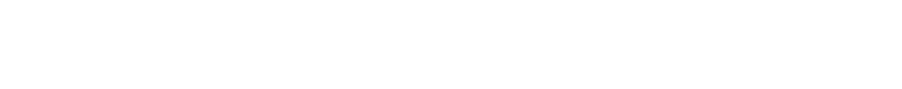 Willow Development Group